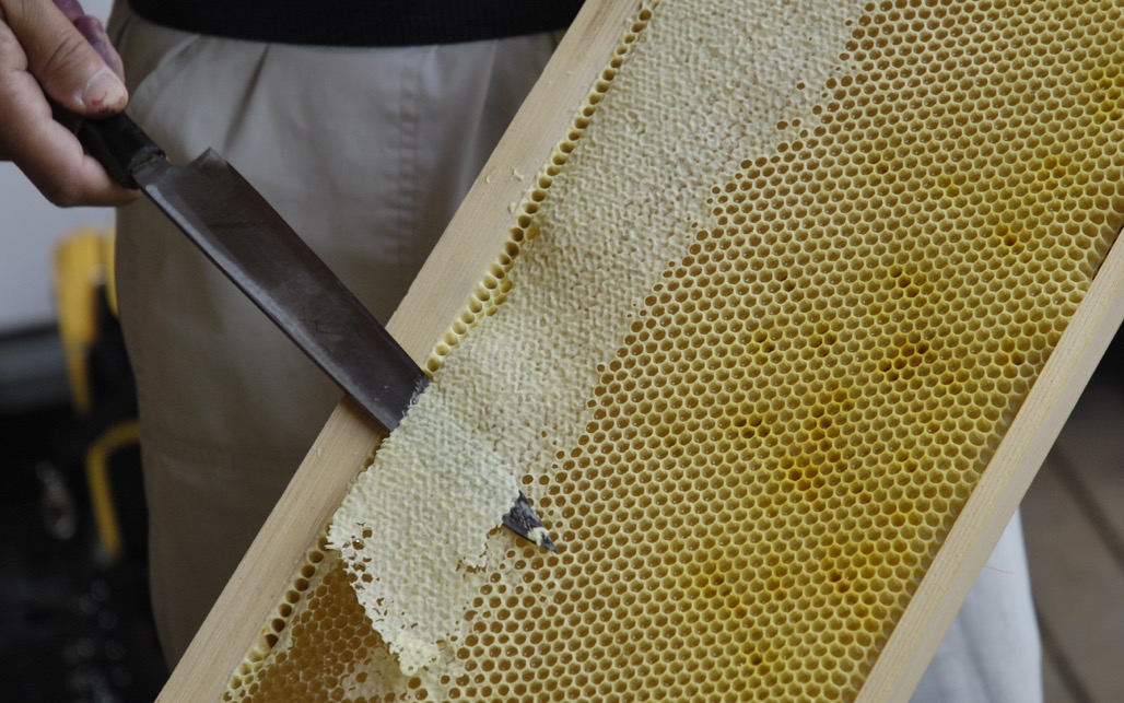 蜜蓋を削ぐ