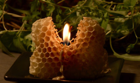 ミツバチの巣に火をつける