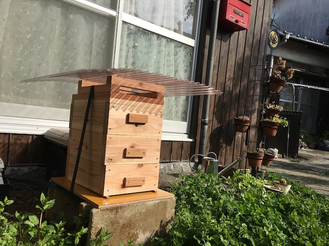 新品ニホンミツバチの巣箱